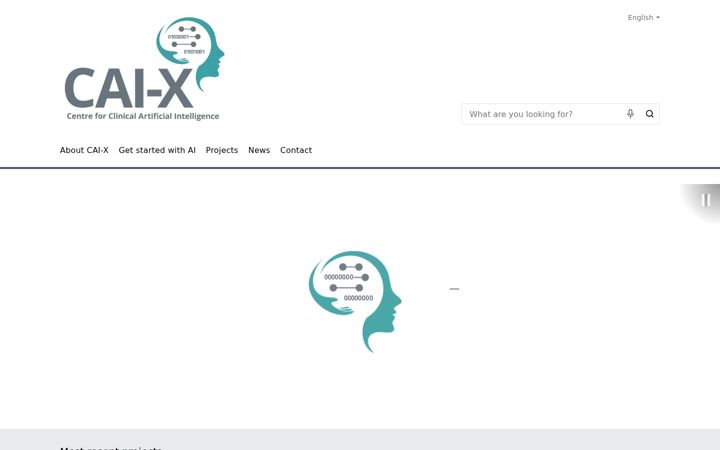 Képernyőkép: cai-x.com