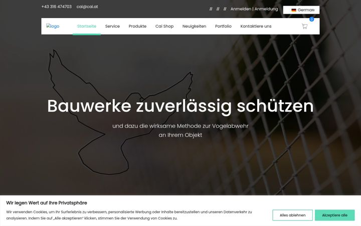 Screenshot of cai.at