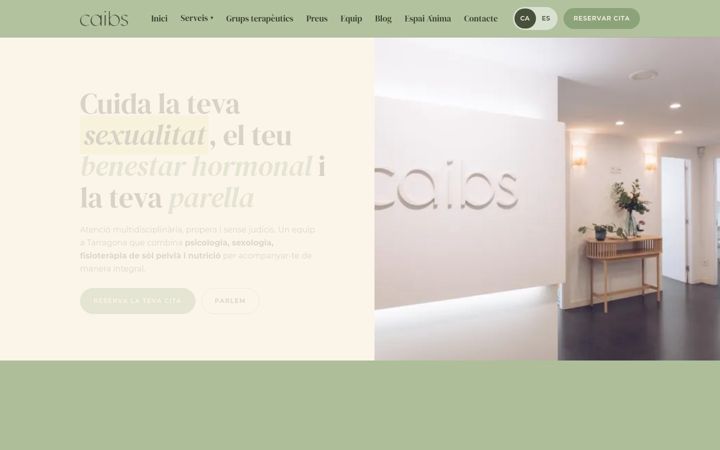 Screenshot of caibs.es