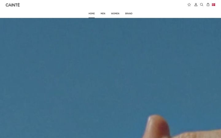 Screenshot of cainte.com