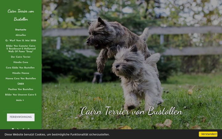 Capture d'écran de cairn-terrier-von-bustollen.de