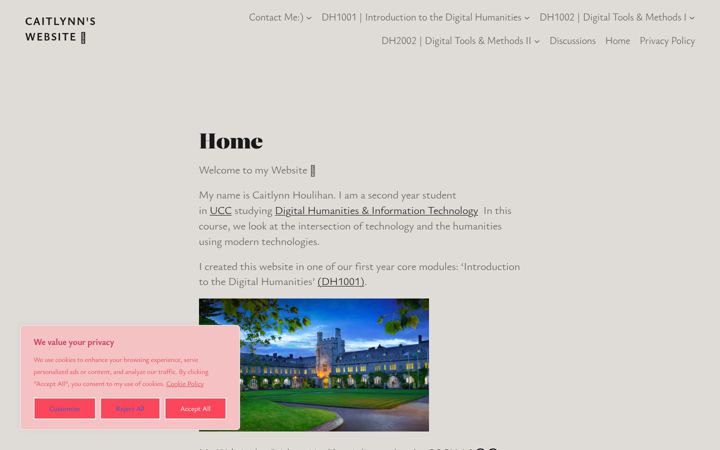 Screenshot of caitlynnhoulihan.com