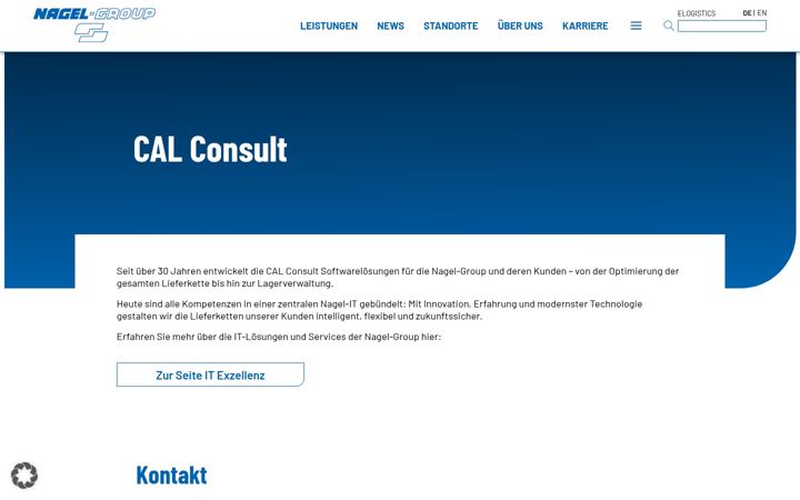 Screenshot of cal-consult.de