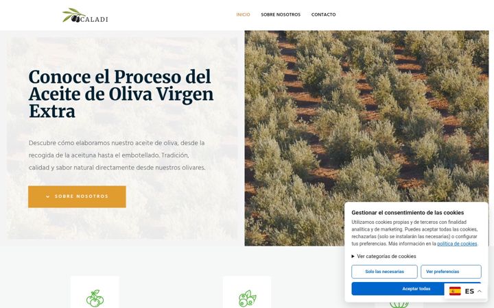 Screenshot of caladi.es