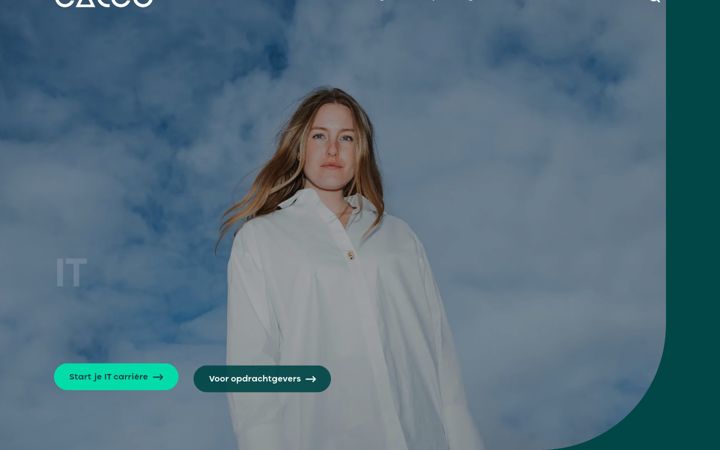 Screenshot of calco.com