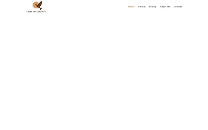 Screenshot of calebholdsworth.com