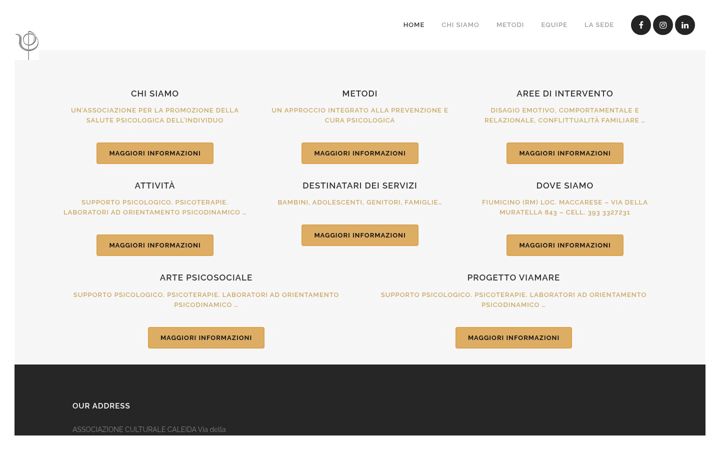 Screenshot of caleida.it