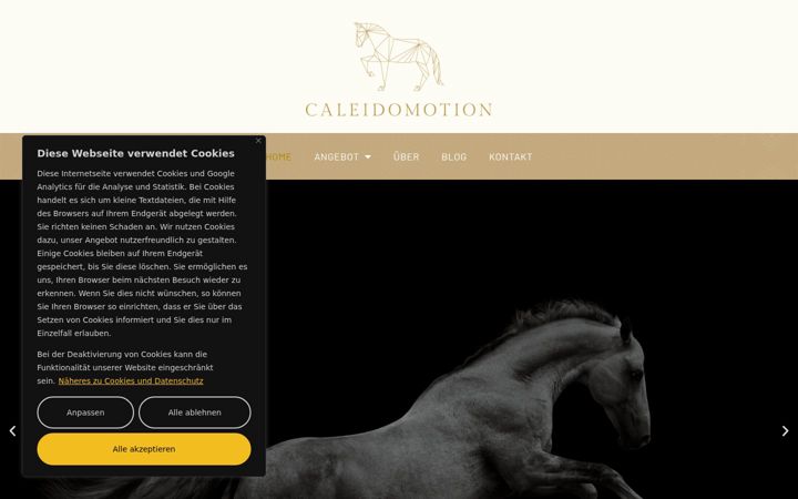 Screenshot of caleidomotion.at
