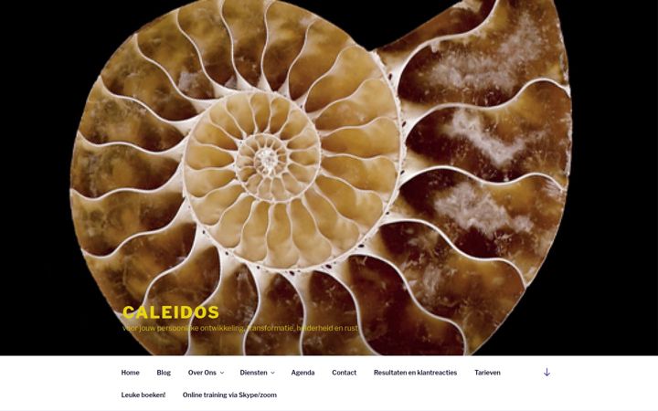 Screenshot of caleidos.nl
