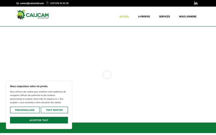 Screenshot of calicamltd.com