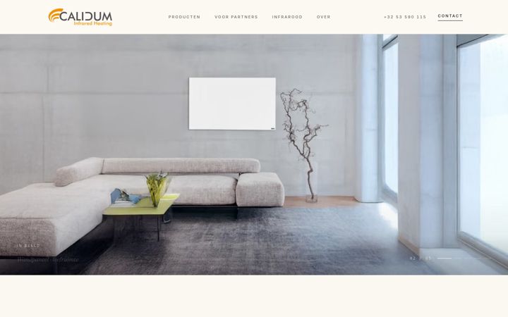 Screenshot of calidum.be