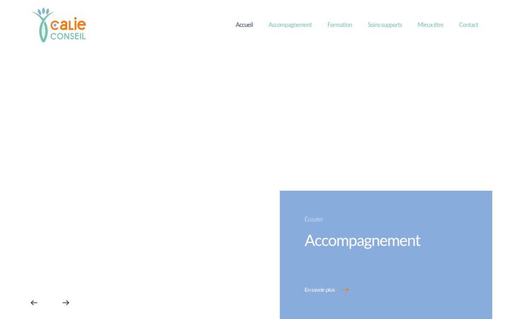 Screenshot of calieconseilpatientexpert.com