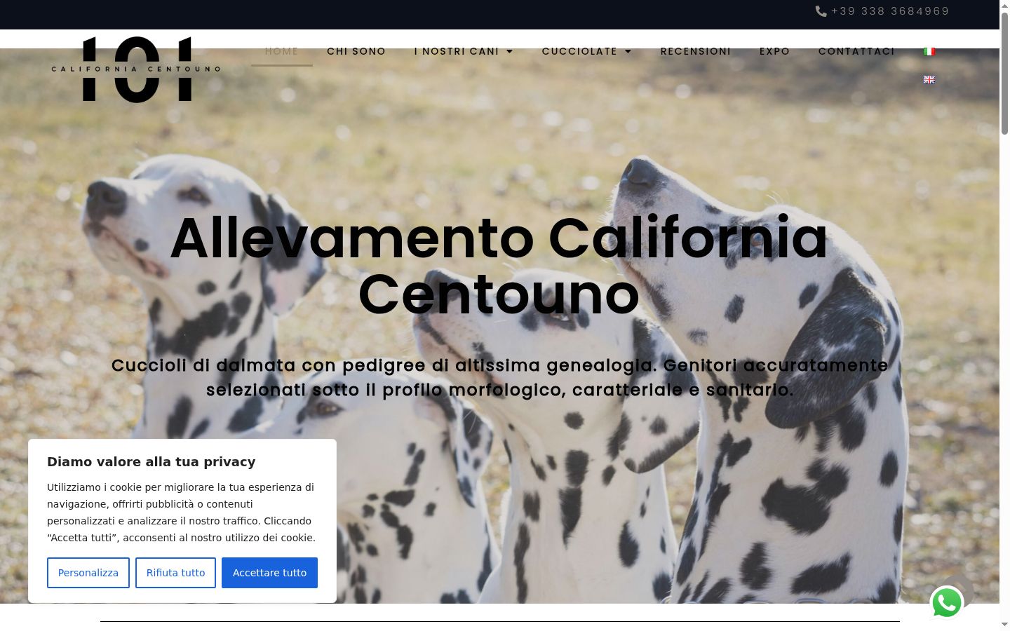 Screenshot del banner di consenso mostrato prima di qualsiasi interazione
