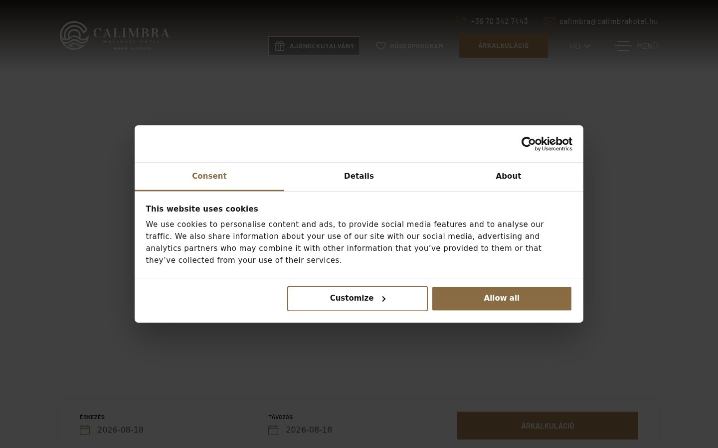 Screenshot of the consent banner shown before any interaction