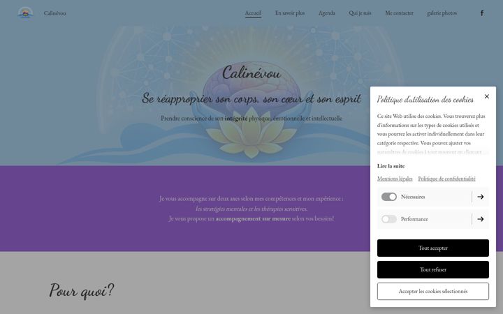 Screenshot of calinevou.com