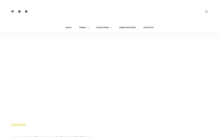 Screenshot of calle-21.com