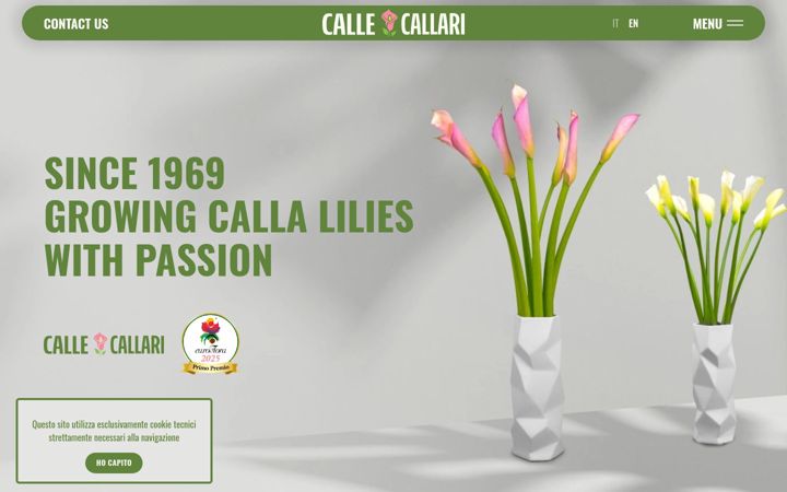 Screenshot of callecallari.it