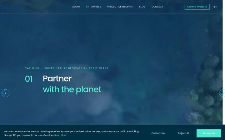 Screenshot of callirius.com