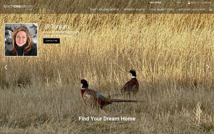 Screenshot of calljrrealty.com