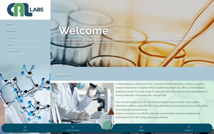 Screenshot of calsa.co.za