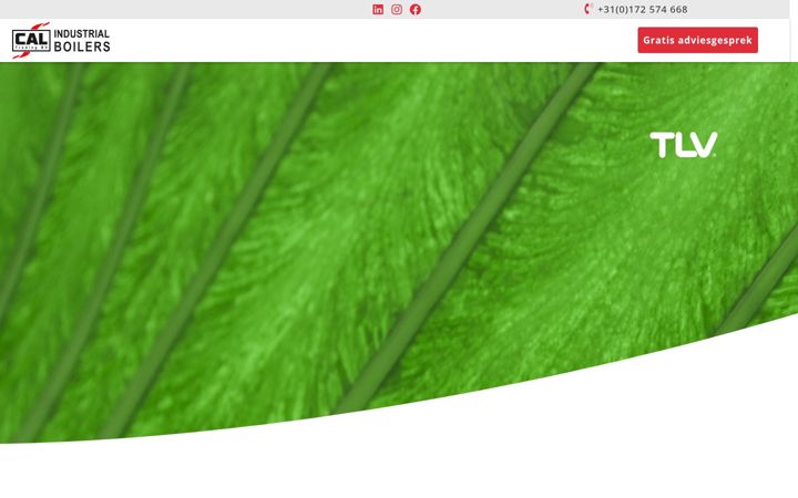 Screenshot von caltrading.nl