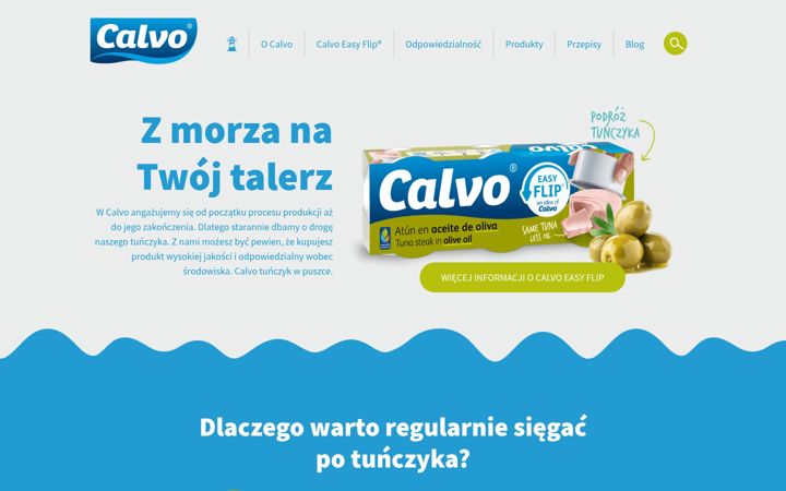Screenshot of calvo.pl