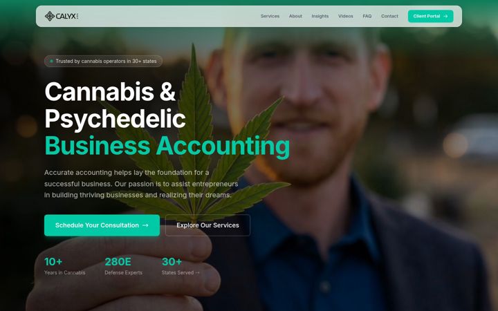 Screenshot of calyxcpa.com