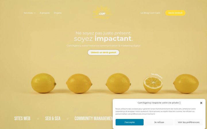Screenshot of cam-agency.fr