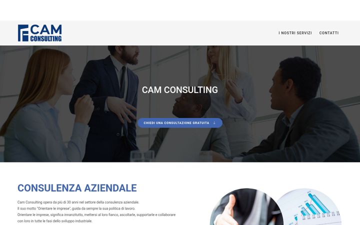 Screenshot of cam-consulting.it
