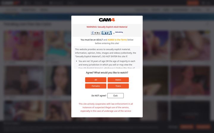 Screenshot ta' cam4.com
