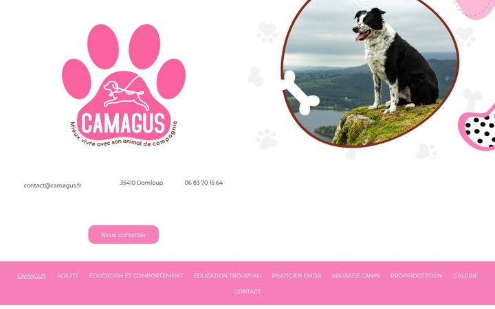 Zrzut ekranu camagus.fr