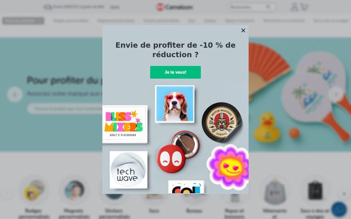 Posnetek zaslona camaloon.fr