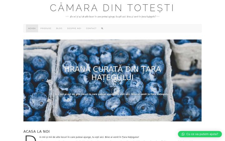 Screenshot of camaradintotesti.ro