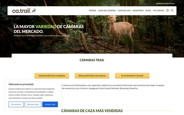 Screenshot of camarastrail.com