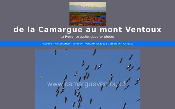 Screenshot of camargueventoux.fr