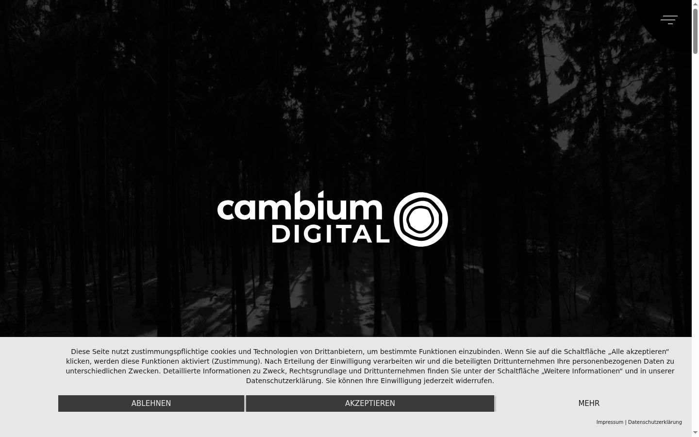 Screenshot of the consent banner shown before any interaction