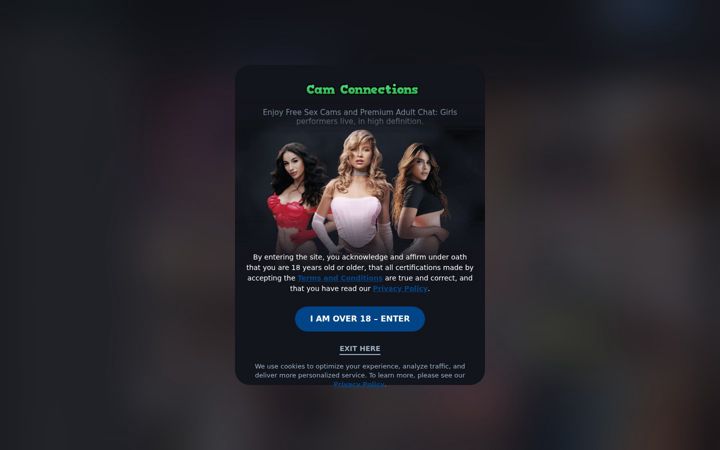 Screenshot of camconnections.live