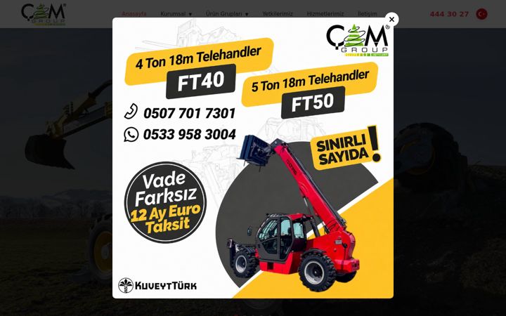 Screenshot of camdisticaret.com