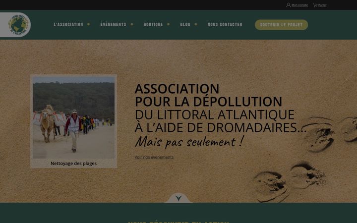 Posnetek zaslona camel-idees.fr