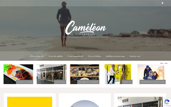 Screenshot of cameleon-magazine-pays-basque.fr
