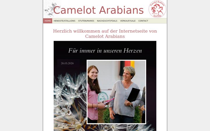 Screenshot of camelot-arabians.de
