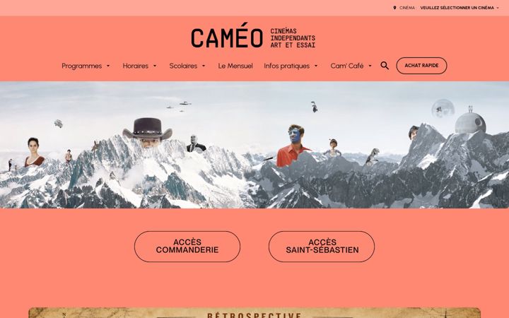 Skærmbillede af cameo-nancy.fr