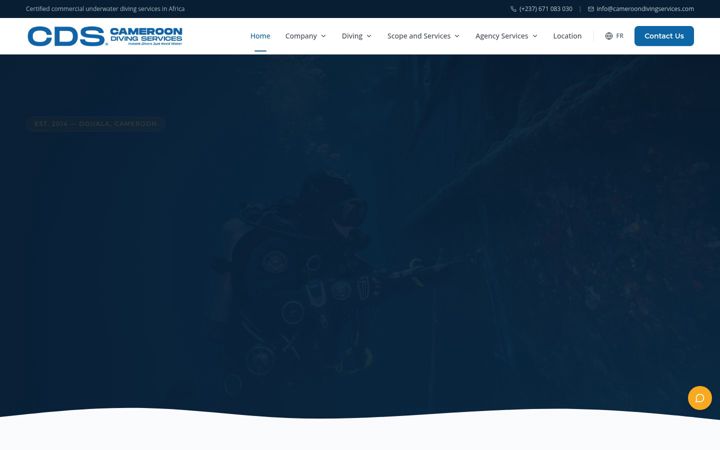 Screenshot of cameroondivingservices.com