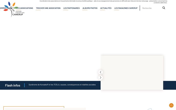 Screenshot of camerup.fr