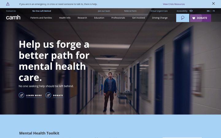 Captura de pantalla de camh.ca