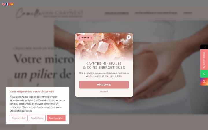 Screenshot of camille-vancraynest.com