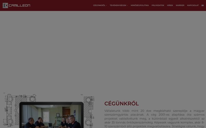 Screenshot of camilleon.hu