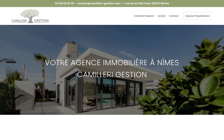 Screenshot of camilleri-gestion.com