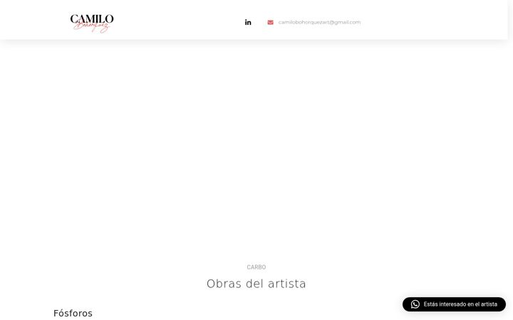 Screenshot of camilobohorquez.art