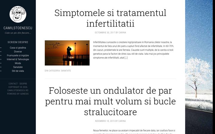 Ekraanipilt saidist camilstoenescu.ro